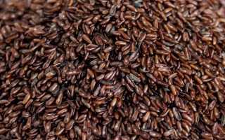Семена подорожника: лечебные свойства и противопоказания к применению