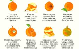 Как выбрать сладкие мандарины: ищем лучшие фрукты!