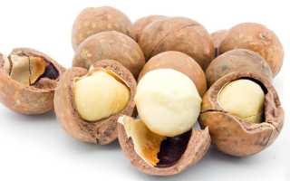 Орех макадамия: калорийность, состав и полезные свойства