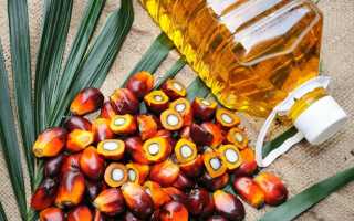 Пальмоядровое масло и пальмовое масло: в чём разница