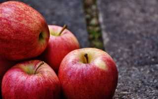 Сколько углеводов в яблоке: посчитаем вместе