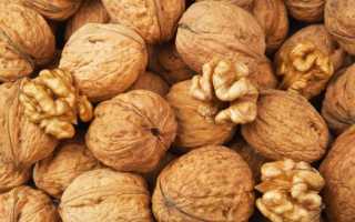 Как хранить грецкие орехи правильно
