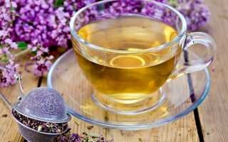 Чай с чабрецом: рецепты, польза и противопоказания