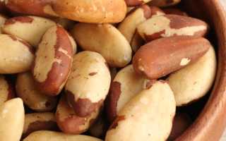 Сколько бразильского ореха можно есть в день: суточные нормы