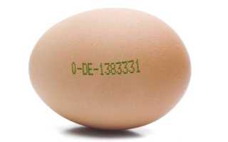Сколько белка в одном яйце в зависимости от категории и вида: подробный разбор